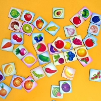 Loto Voće-Povrće  CK09